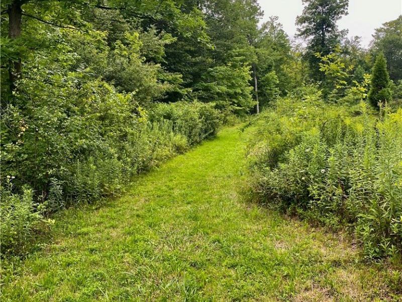 0 Fowlers Mill Road, Chardon, OH 44024 Photo 7