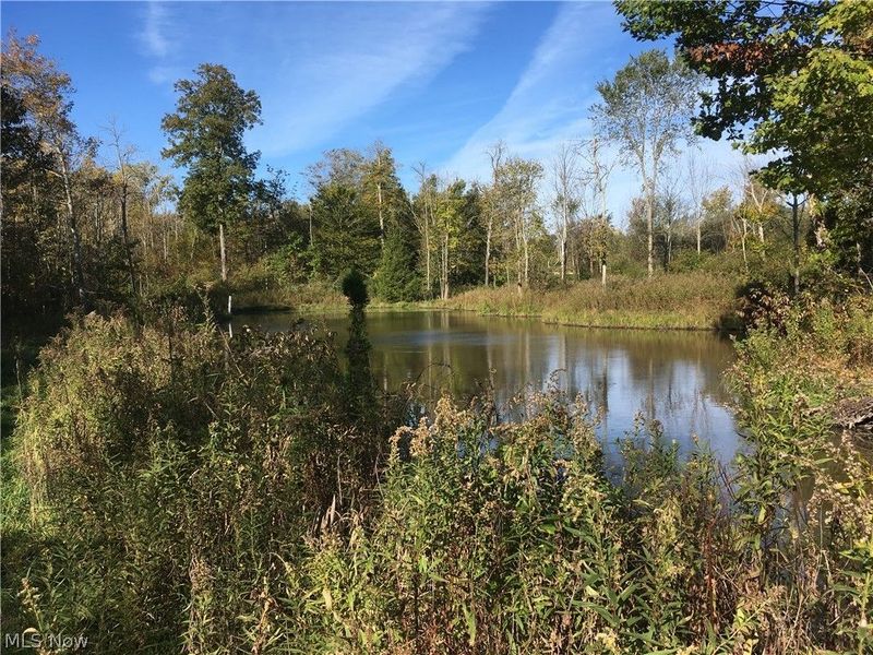 0 Fowlers Mill Road, Chardon, OH 44024 Photo 9