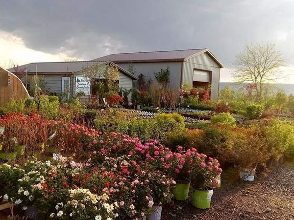 1814 N IRON BRIDGE ROAD, HUSTONTOWN, PA 17229