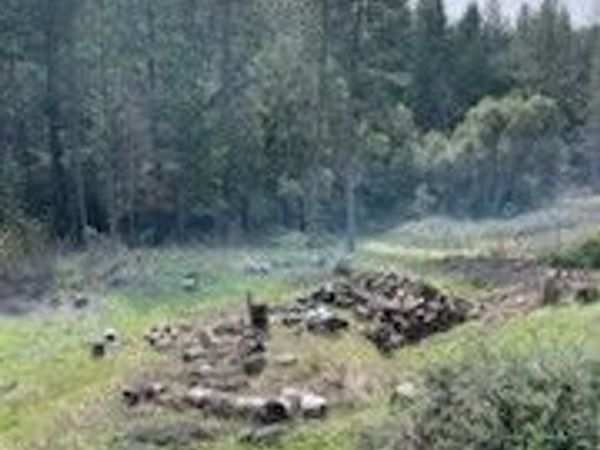 178 Bloomer Hill Rd, Berry Creek, CA 95916