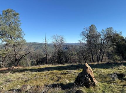 Snowberry Ct, Murphys, CA 95247 Photo