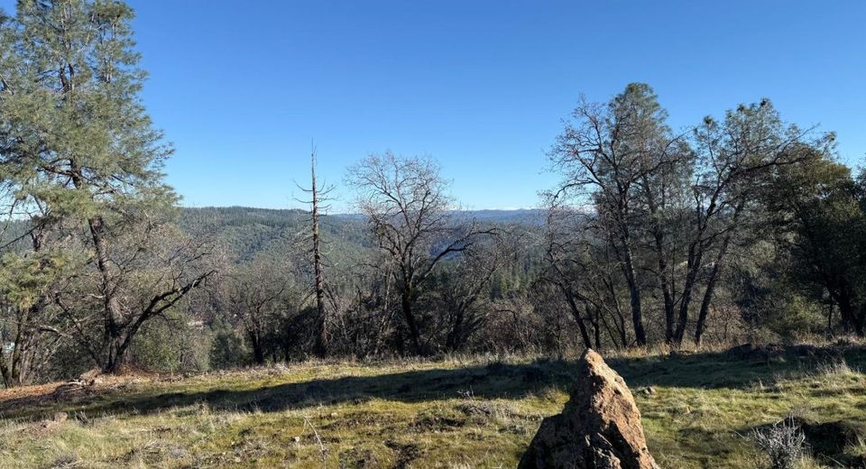 Snowberry Ct, Murphys, CA 95247 Photo