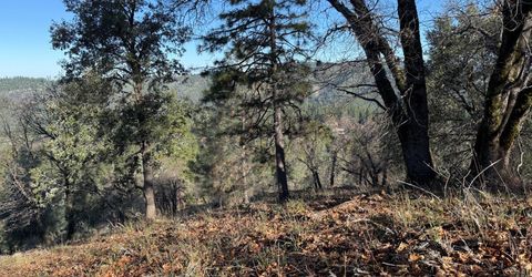 Snowberry Ct, Murphys, CA 95247 Photo