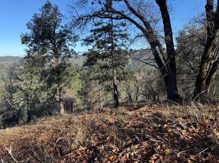 Snowberry Ct, Murphys, CA 95247 Photo