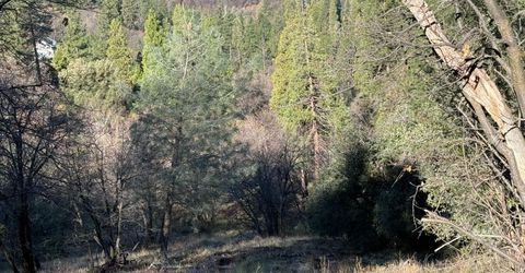 Snowberry Ct, Murphys, CA 95247 Photo