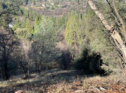 Snowberry Ct, Murphys, CA 95247 Photo