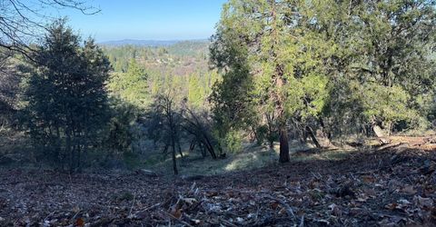 Snowberry Ct, Murphys, CA 95247 Photo