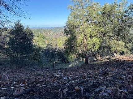 Snowberry Ct, Murphys, CA 95247 Photo