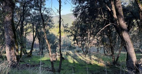 Snowberry Ct, Murphys, CA 95247 Photo