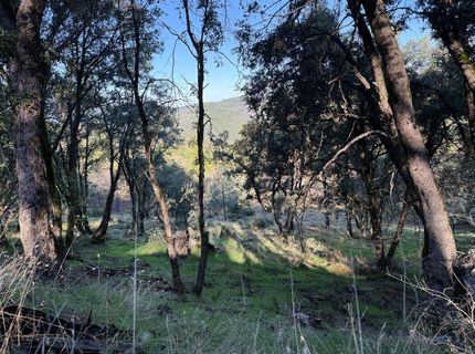 Snowberry Ct, Murphys, CA 95247 Photo