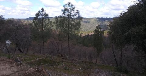 Snowberry Ct, Murphys, CA 95247 Photo