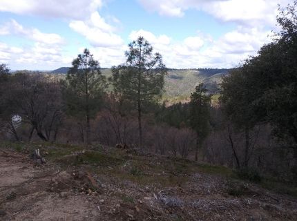 Snowberry Ct, Murphys, CA 95247 Photo