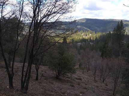 Snowberry Ct, Murphys, CA 95247 Photo