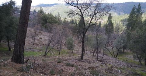 Snowberry Ct, Murphys, CA 95247 Photo