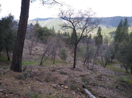 Snowberry Ct, Murphys, CA 95247 Photo