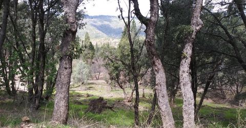 Snowberry Ct, Murphys, CA 95247 Photo