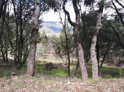 Snowberry Ct, Murphys, CA 95247 Photo