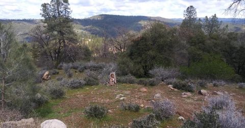 Snowberry Ct, Murphys, CA 95247 Photo