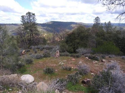 Snowberry Ct, Murphys, CA 95247 Photo