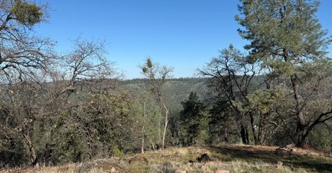 Snowberry Ct, Murphys, CA 95247 Photo