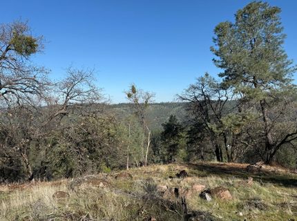 Snowberry Ct, Murphys, CA 95247 Photo