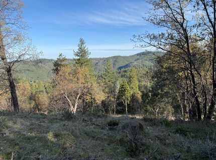 Snowberry Ct, Murphys, CA 95247 Photo