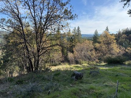 Snowberry Ct, Murphys, CA 95247 Photo