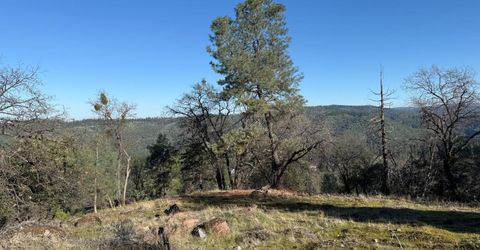 Snowberry Ct, Murphys, CA 95247 Photo