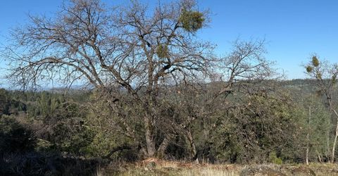 Snowberry Ct, Murphys, CA 95247 Photo