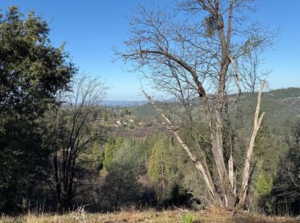 Snowberry Ct, Murphys, CA 95247 Photo