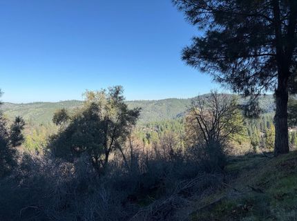 Snowberry Ct, Murphys, CA 95247 Photo