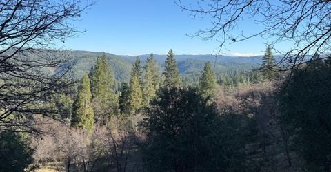 Snowberry Ct, Murphys, CA 95247 Photo