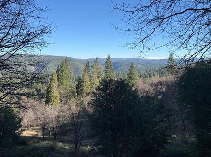 Snowberry Ct, Murphys, CA 95247 Photo