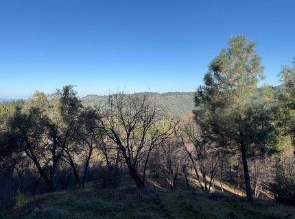 Snowberry Ct, Murphys, CA 95247 Photo