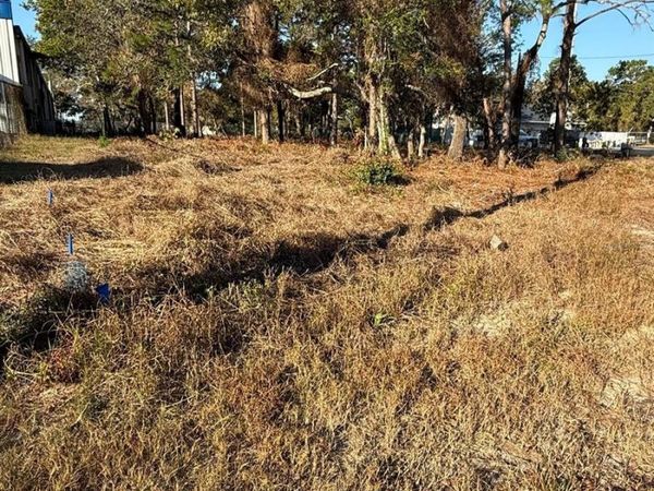 13786 LINDEN DRIVE , SPRING HILL, FL 34609