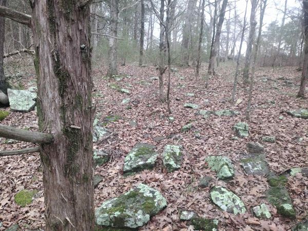 tract 3 HWY 14 e, Mountain View, AR 72560