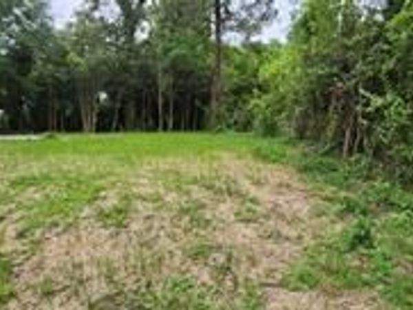 981 Perdue Street, Macon, GA 31206