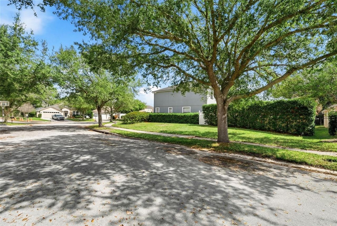 3335 Red Ash Circle , Oviedo, FL 32766 Photo
