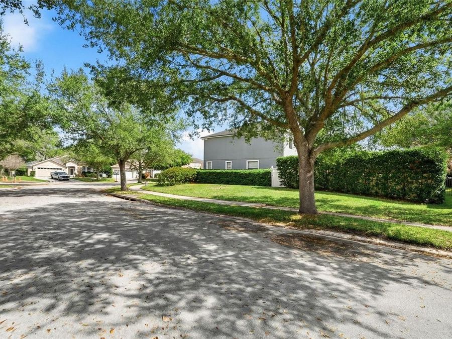 Property Image 49