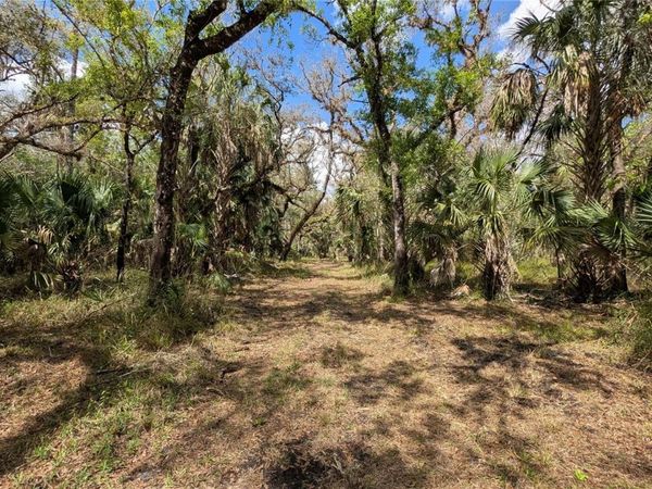 GILLETTE ROAD, ZOLFO SPRINGS, FL 33890