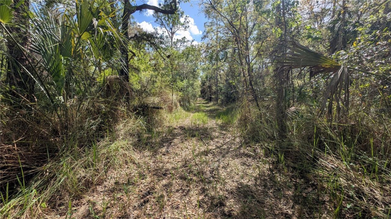 Gillette Road , Zolfo Springs, FL 33890 Photo