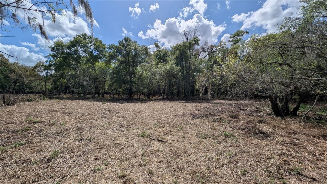 Gillette Road , Zolfo Springs, FL 33890 Photo
