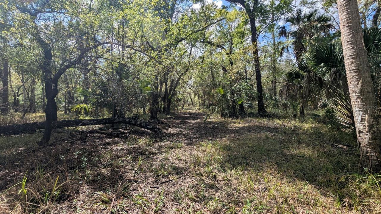 Gillette Road , Zolfo Springs, FL 33890 Photo