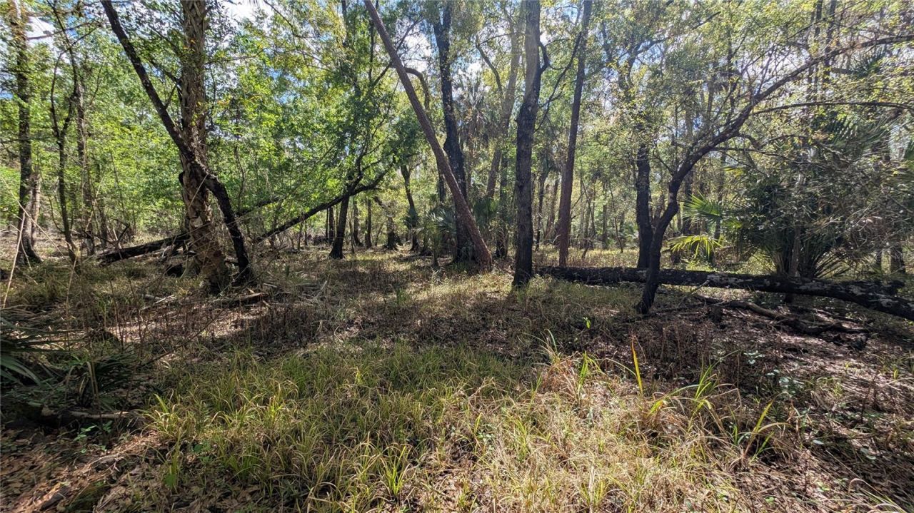 Gillette Road , Zolfo Springs, FL 33890 Photo