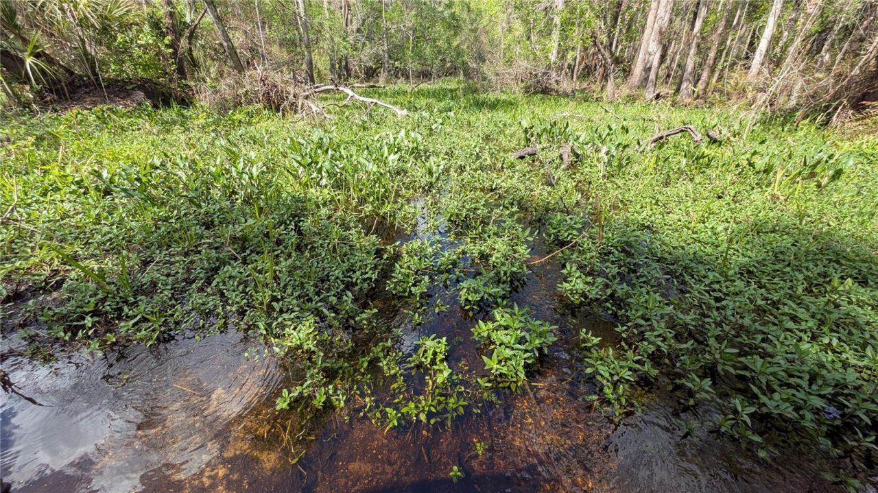 Gillette Road , Zolfo Springs, FL 33890 Photo