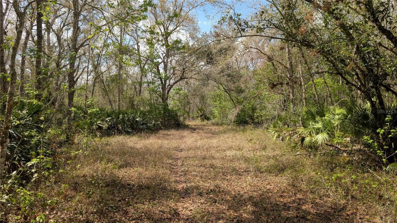 Gillette Road , Zolfo Springs, FL 33890 Photo