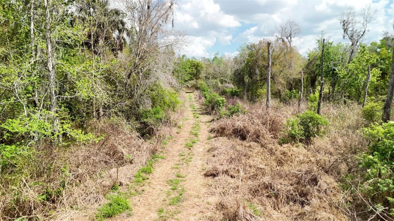 Gillette Road , Zolfo Springs, FL 33890 Photo