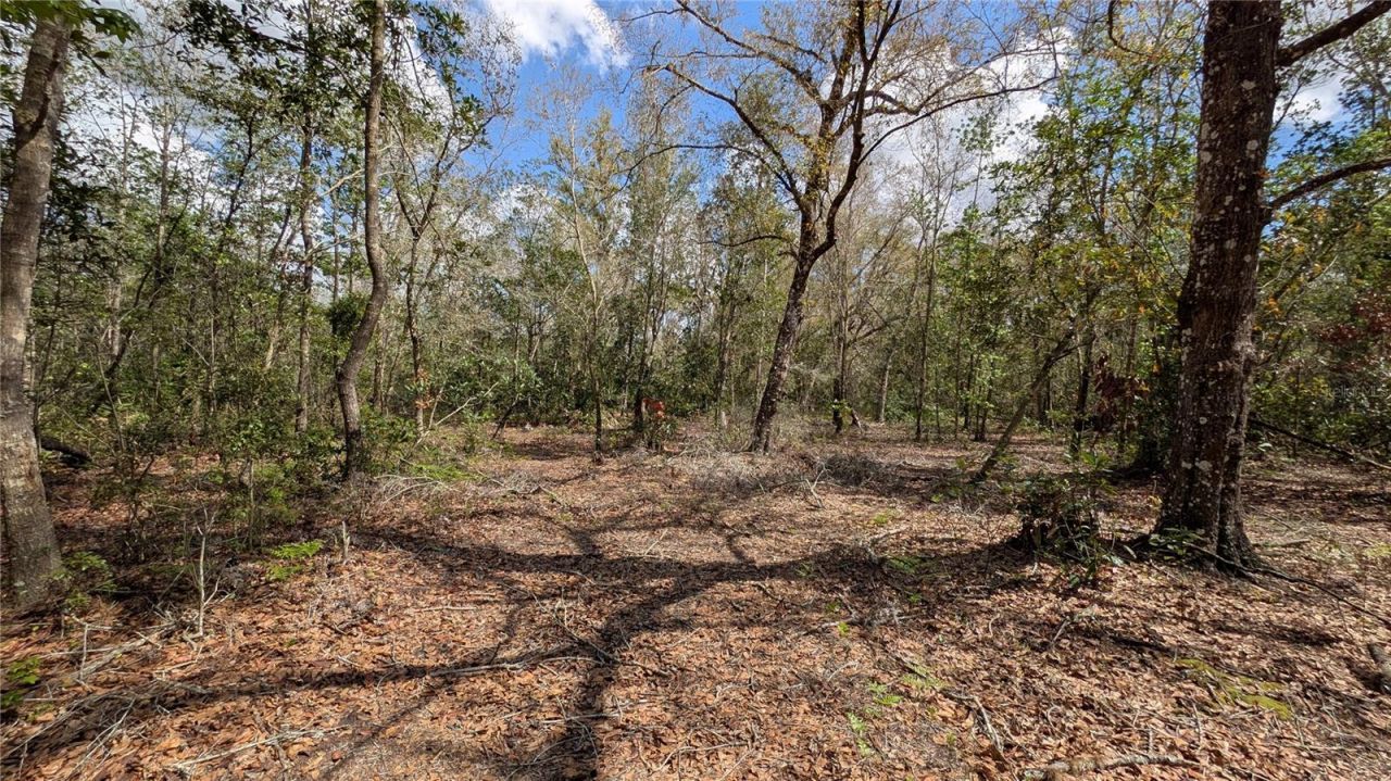 Gillette Road , Zolfo Springs, FL 33890 Photo