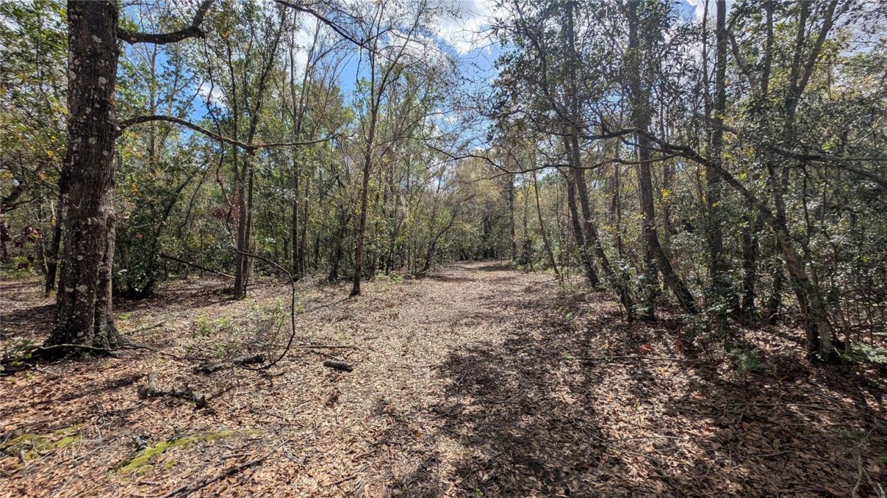Gillette Road , Zolfo Springs, FL 33890 Photo