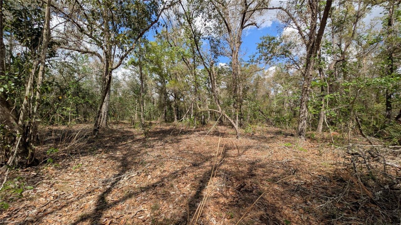 Gillette Road , Zolfo Springs, FL 33890 Photo